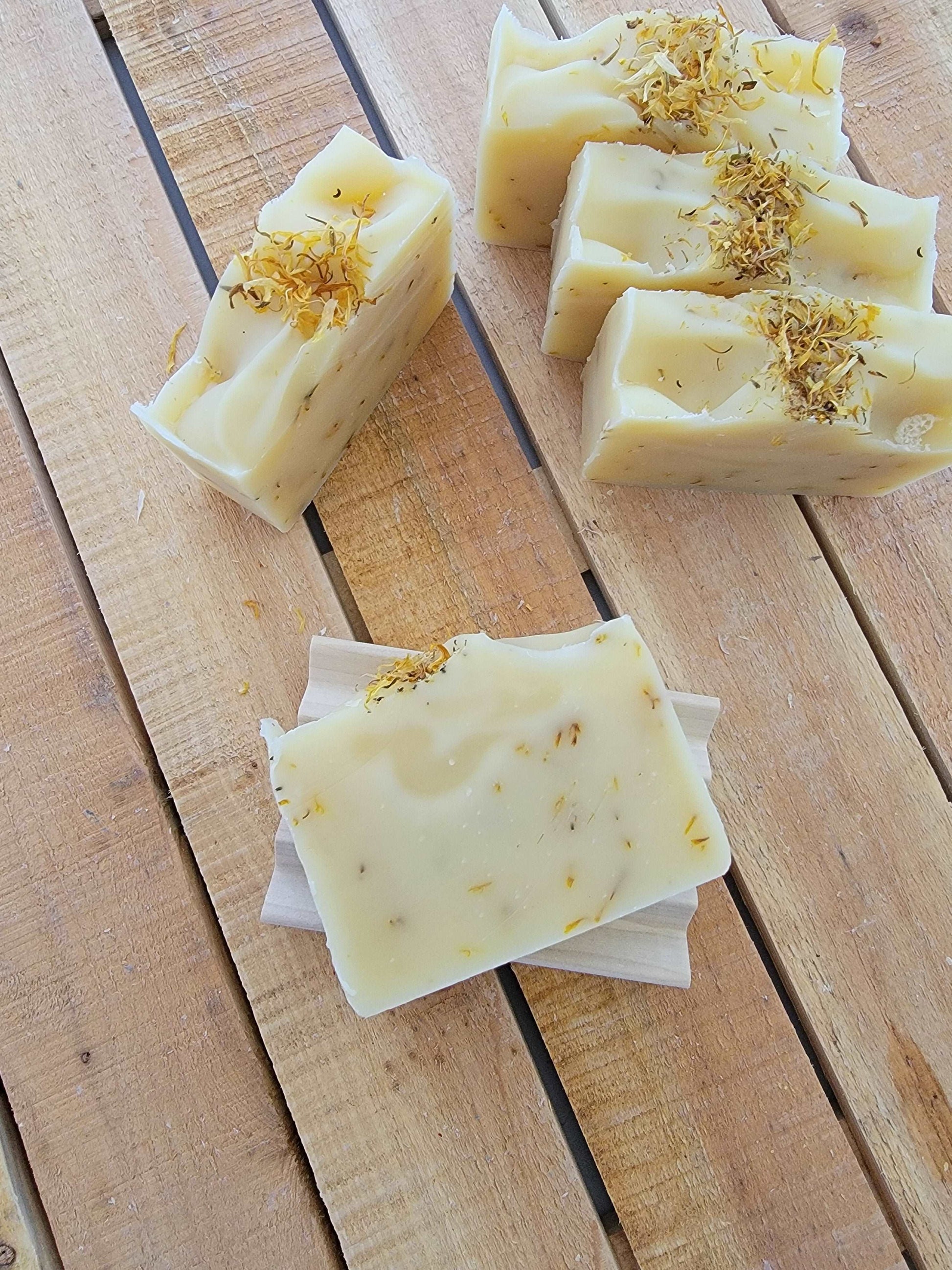 Tea Tree Soap | Handmade and Natural | Sunflower Soaps