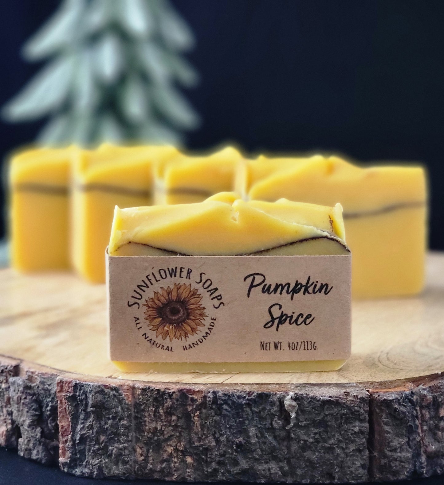 Pumpkin Spice Soap