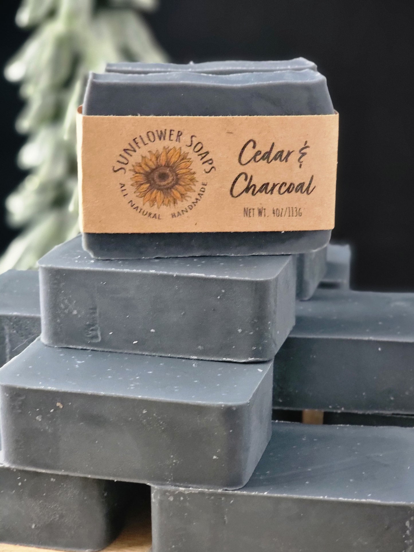 Cedar & Charcoal Soap