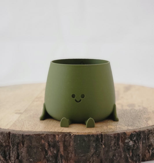 Succulent Pot - Evergreen