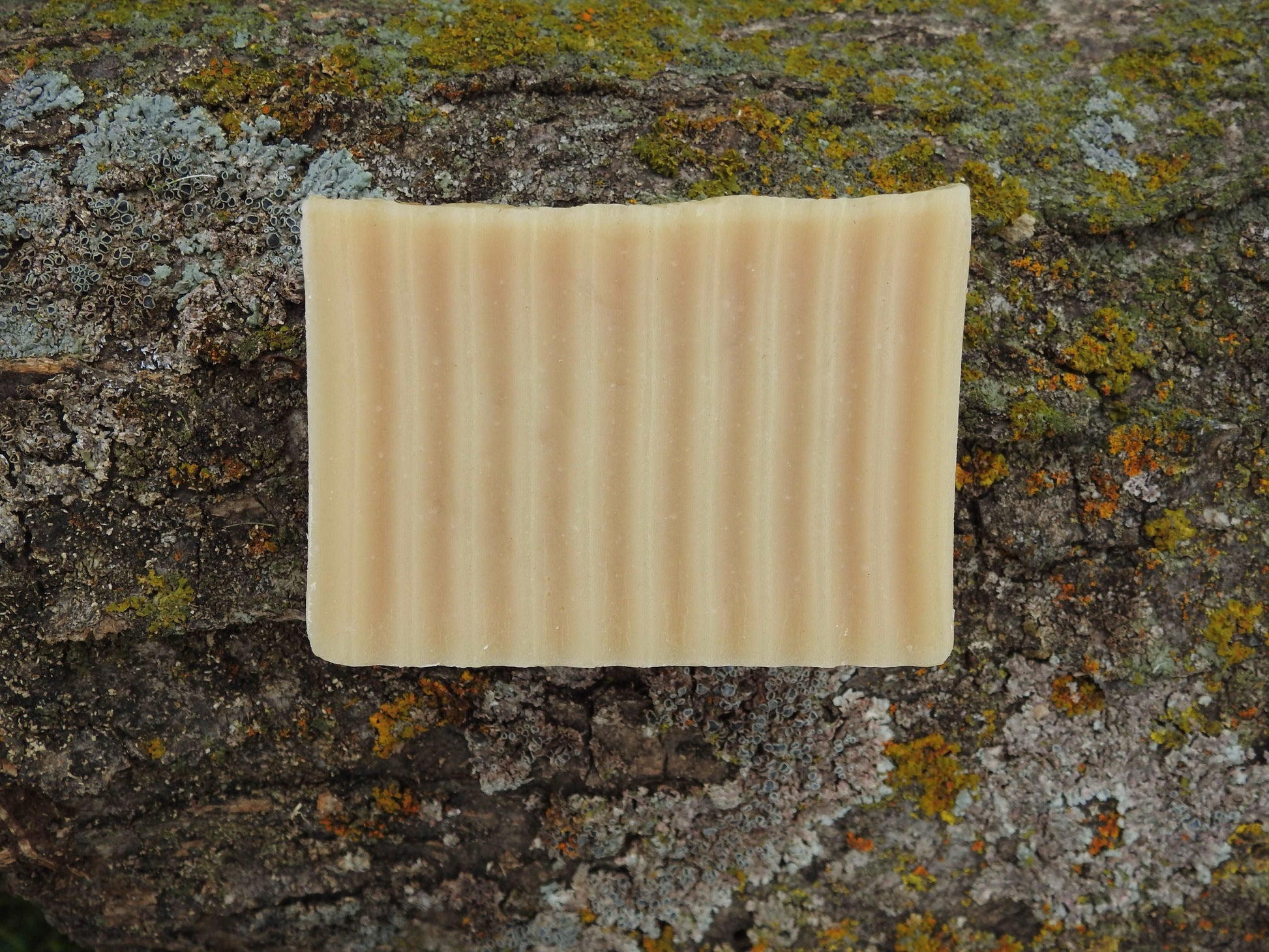 Lemon Eucalyptus Soap | Handmade and Natural | Sunflower Soaps