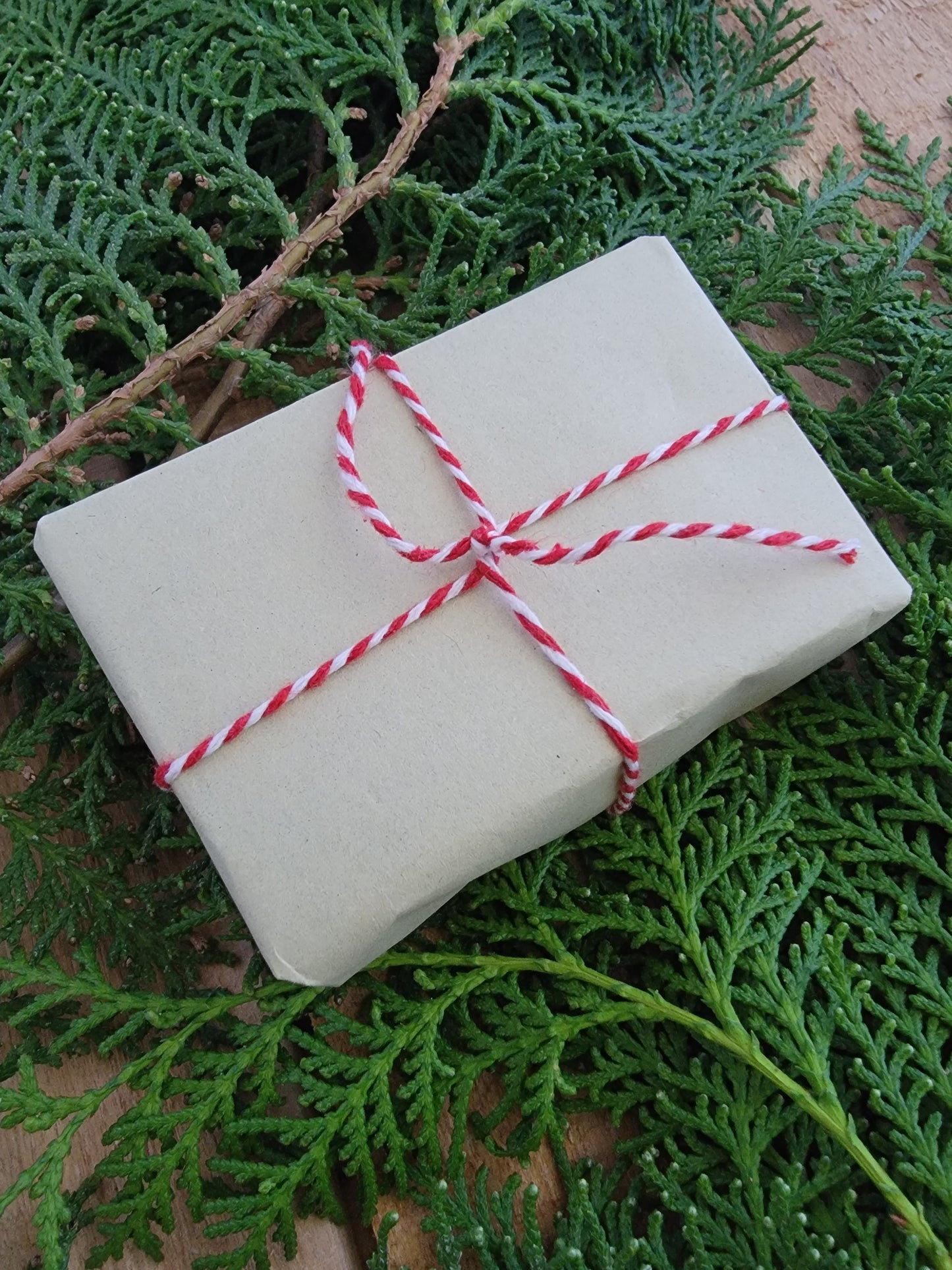 Lump of Coal - Cedarwood & Charcoal Soap