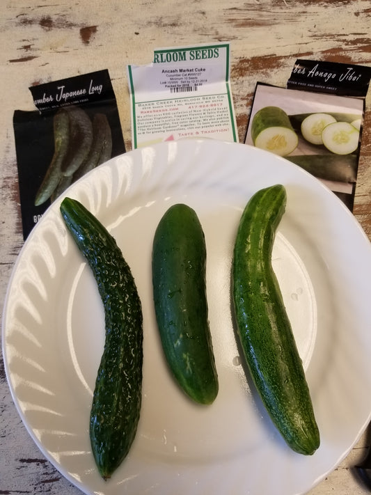 Comparing cucumbers