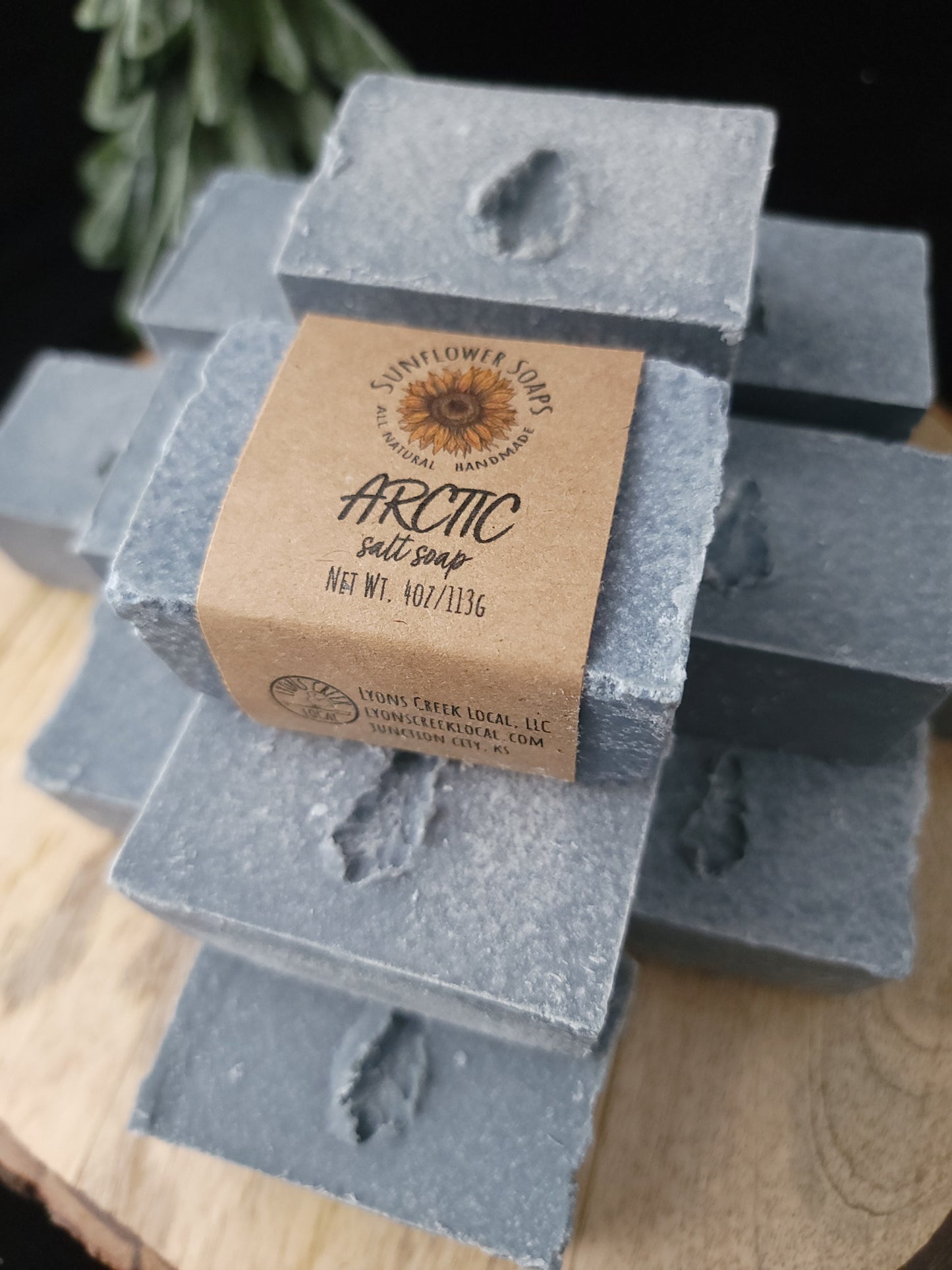 Arctic - Salt Soap
