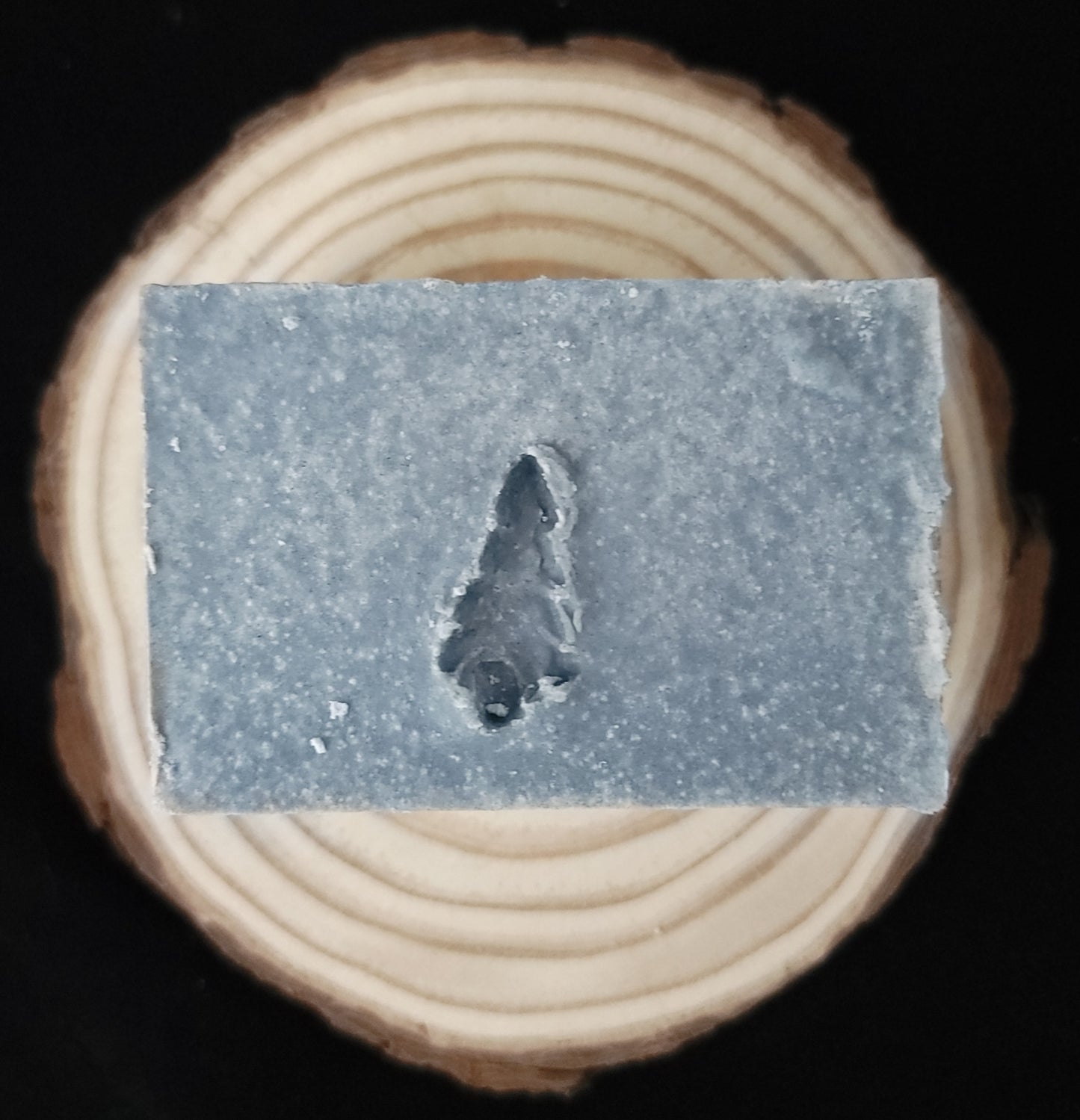 Arctic - Salt Soap