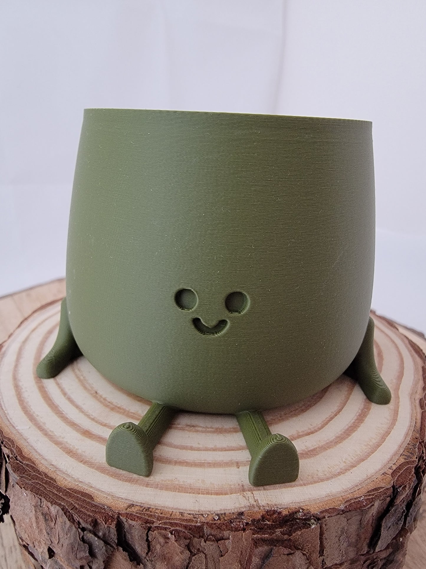 Succulent Pot - Evergreen