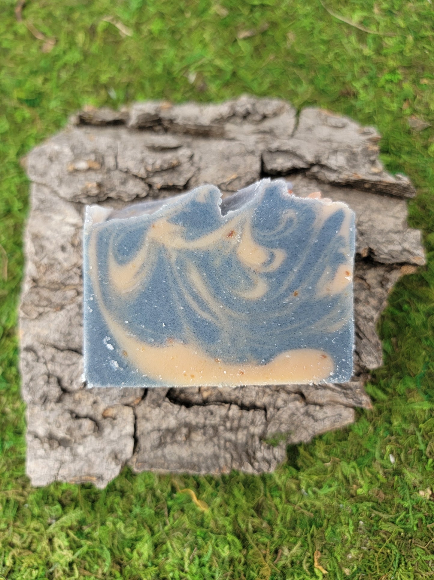 Seaside Kelp Bar Soap