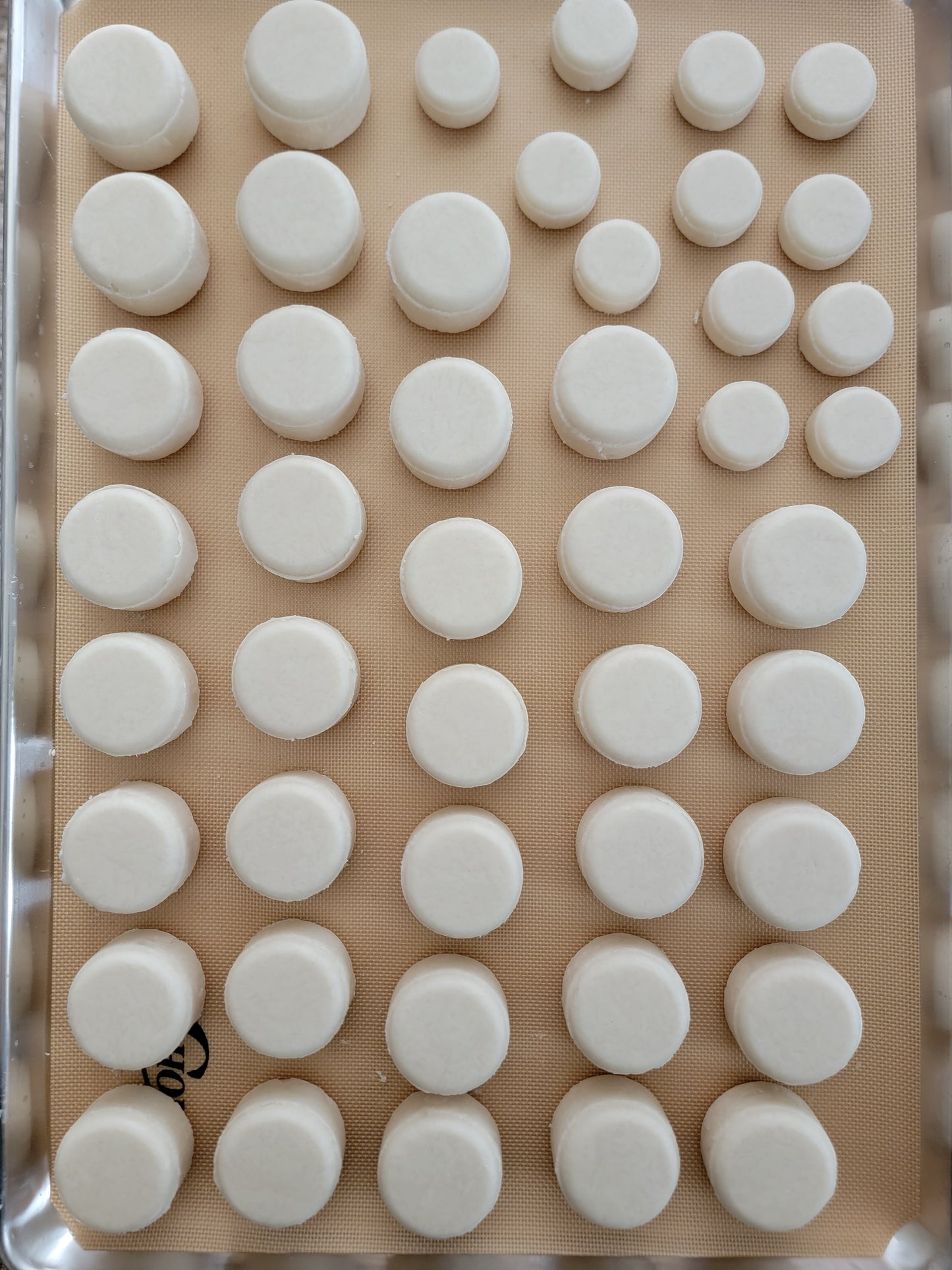 Coconut - Shampoo Bar