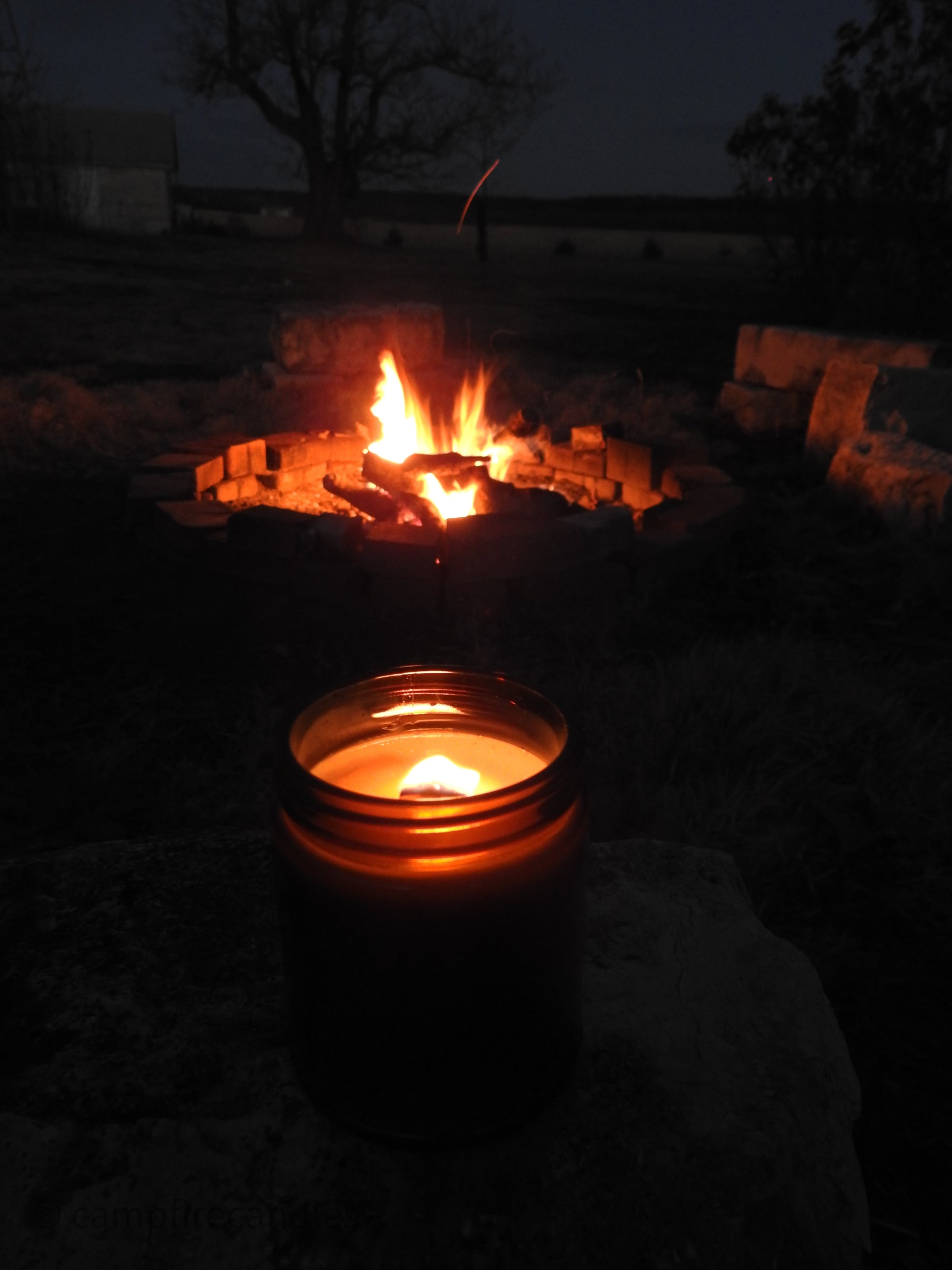 Campfire Wood Wick Candle – Flickering Fern Candle